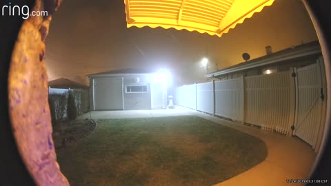 Dog Rings Doorbell too come in