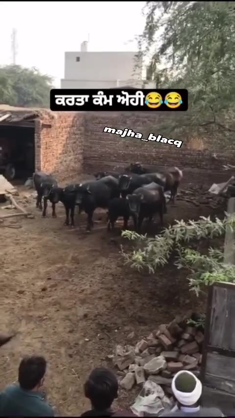 Funny moments with my friends #20 🤣