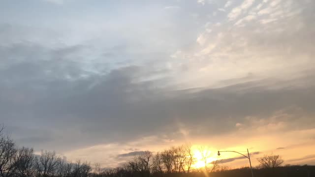 Learning To Live Without Fear