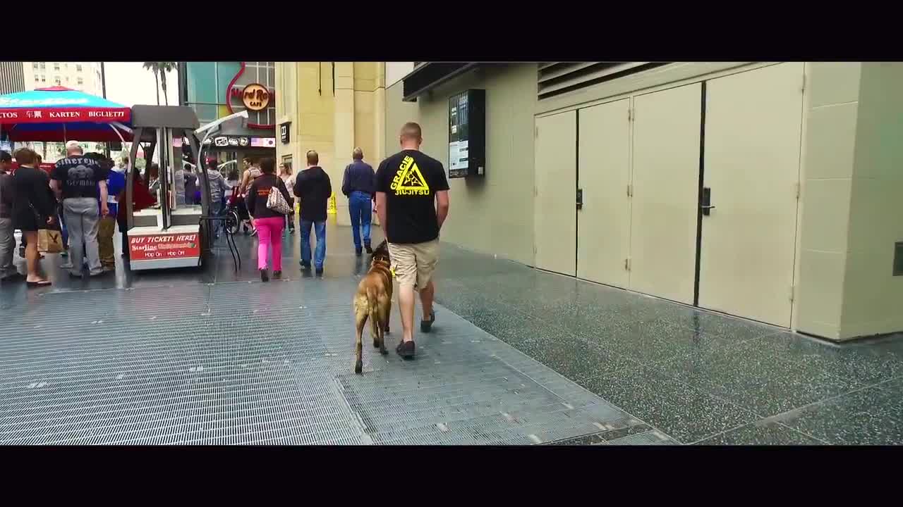 Brendan Schaub's 6-Month Old Malinois Before After Video!