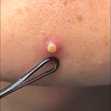 Morning wake up and see like this