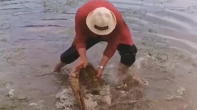 Find out catch fish in stream