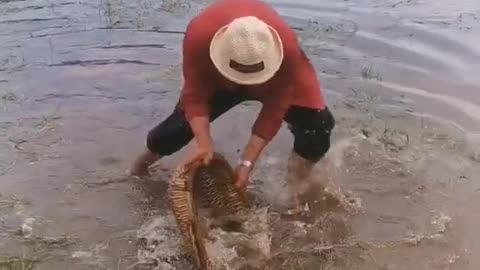 Find out catch fish in stream