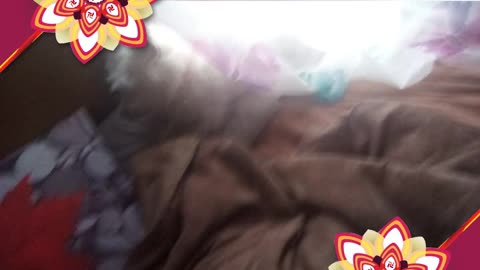 today video
