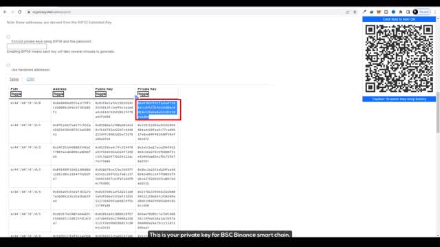How to get BNB coin private key.