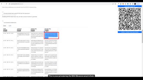 How to get BNB coin private key.