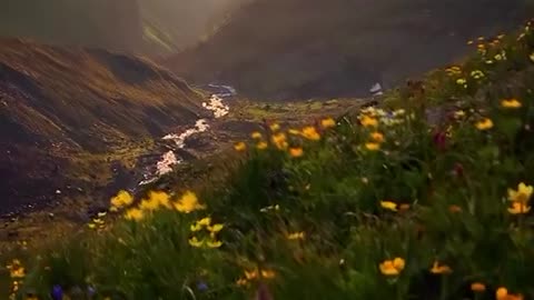 Beauty of Nature