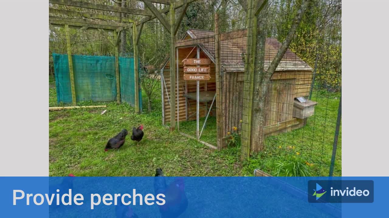 Chicken coop building made easy