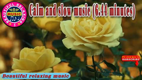 Relaxing Music | Sleeping, Meditation, Stress Relief | [6136] ⭐️