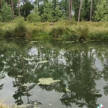 Fry up on the rain fishing