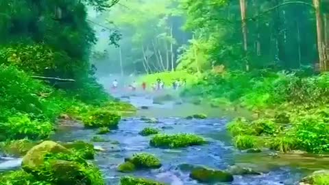 Beautiful green nature