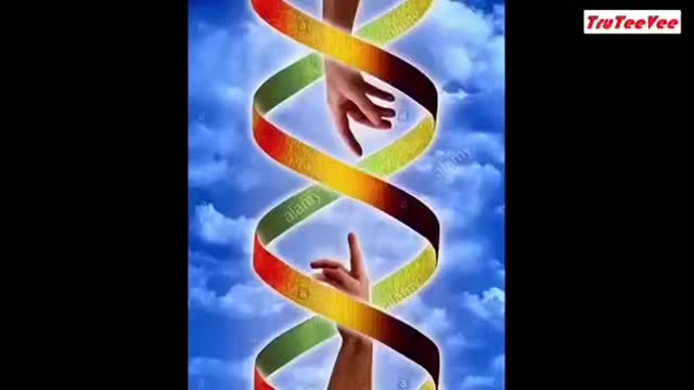 Must watch🎥🎥🎥👀👁👁
