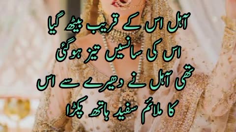 Dil Tere Naam Kiya novel