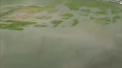 Stadium flooding 🤯 #Storm