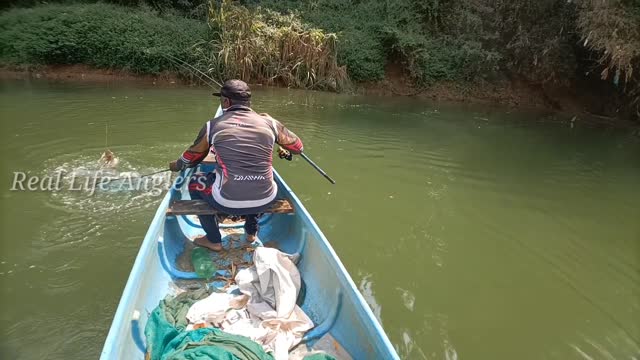 Snakehead Fishing