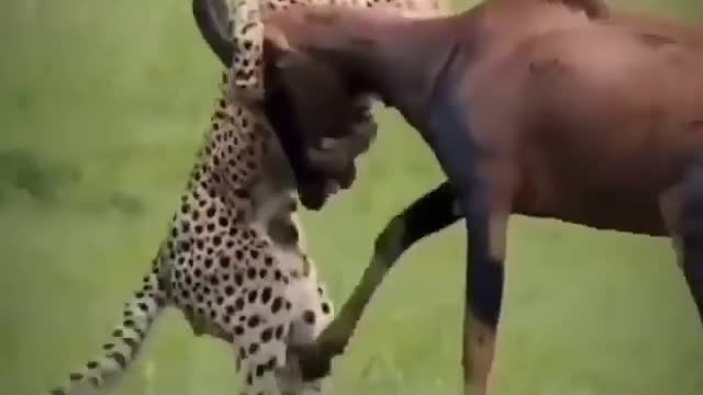 Team work makes the dream work