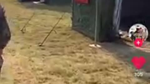 WHAT HAPPEN IN SHANGHAI?