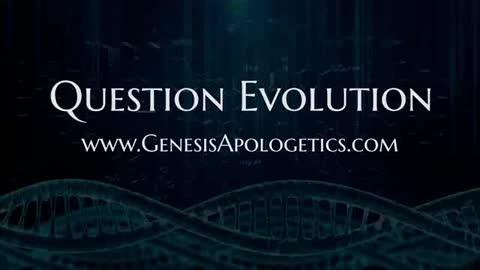 Why Creation? – Episode 12 of Debunking Evolution Series