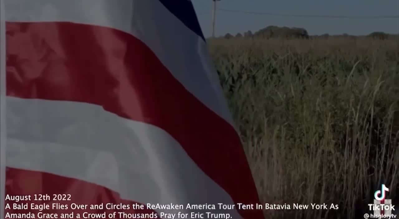 Bald Eagle Circles The Tent Where DJT #45 And Eric Trump Are Being Prayed Over!