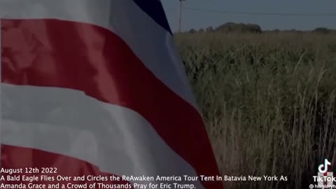 Bald Eagle Circles The Tent Where DJT #45 And Eric Trump Are Being Prayed Over!