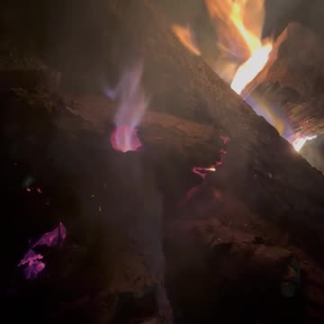 Fire 🔥 A Hollow Log
