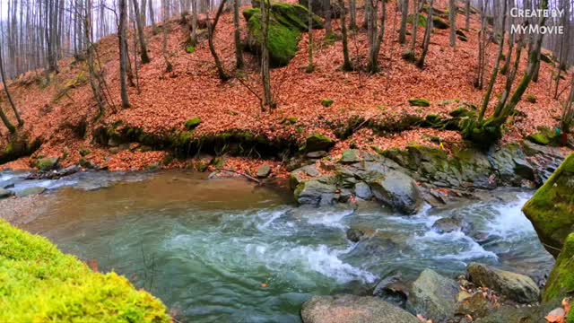 5 mint study relax music || meditation music || #sleeping music #relax