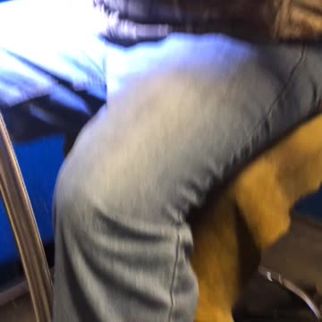 Scare of a life time