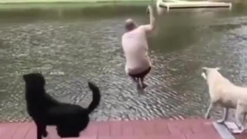 Dog save the owner from water