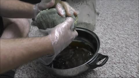 How To Get Rid Of The Green Colour in Rick Simpson Oil
