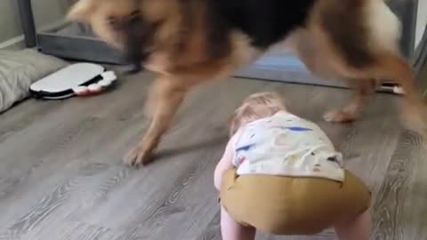 They can play this game all day