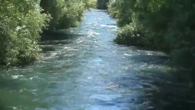nature VIDEOS and music
