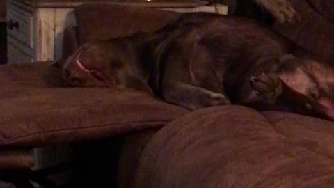 He does not like this song.