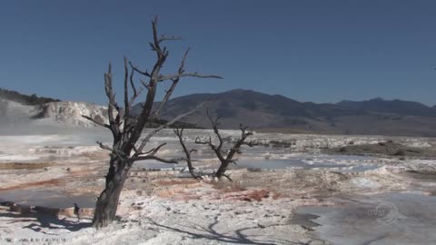 VolFilm - Volcanic gases: the hazard