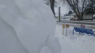 more ice sculptures
