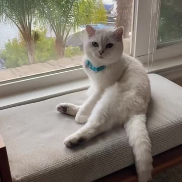 Sending you buckets of love and happiness!