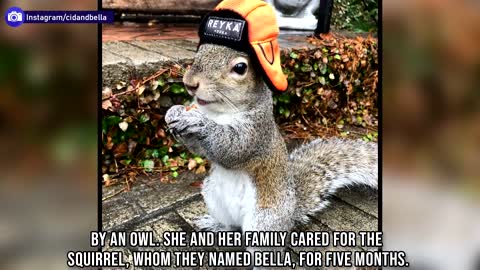 12 Cutest Ways Animals Thanked Humans For Rescuing Them