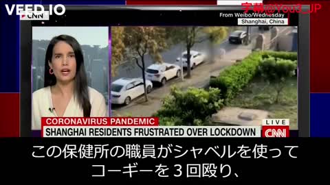 米国メディアは、中国が感染対策という名目でペットを大虐殺していることをきちんと報道している。