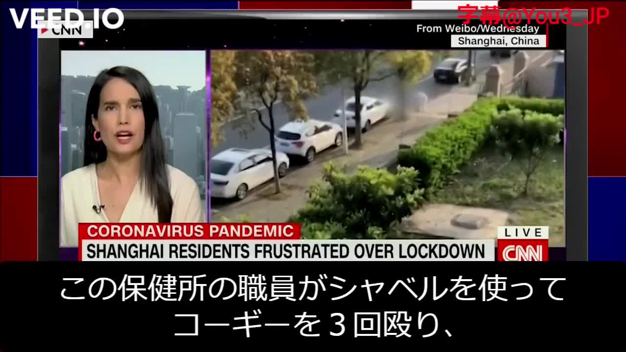 米国メディアは、中国が感染対策という名目でペットを大虐殺していることをきちんと報道している。