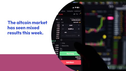 Biggest Altcoin Gainers of the Second Week of August 2024