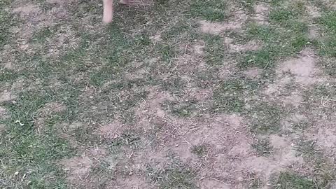 Tayson lll