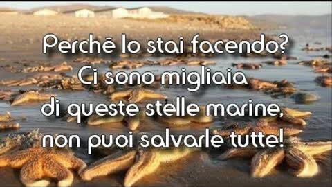 Stella Marina
