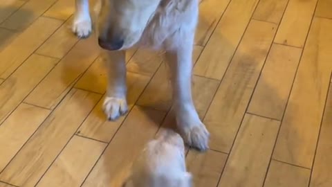He's touching me!