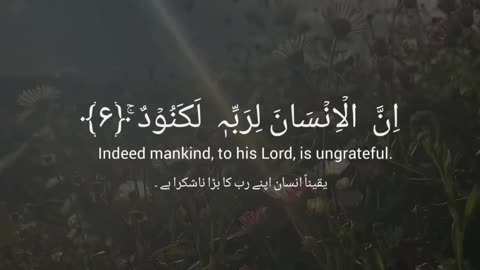 Quran recitation