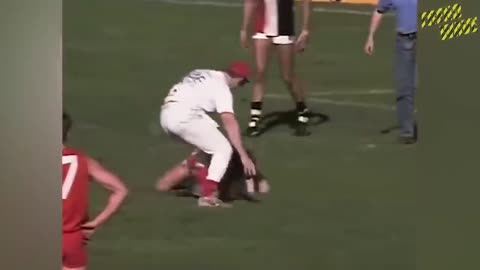 20 EPIC MOMENTS WITH ANIMALS IN SPORTS