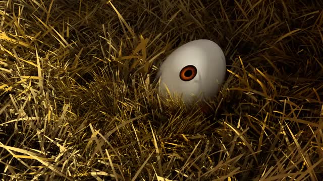 Don't Just Sit There! Start 3D ANIMATED SHORT FUNNY CARTOON L EGGS CHANGE
