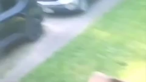 Priceless look on your face