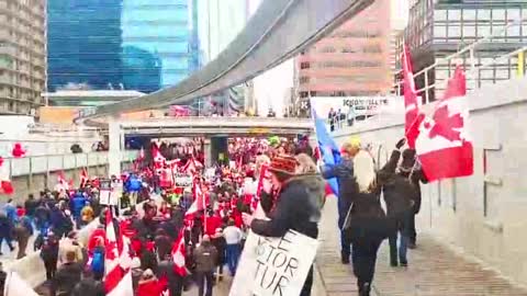 Calgary's freedom march!