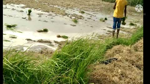 वरुणा नदी के किनारे मोरा गांव