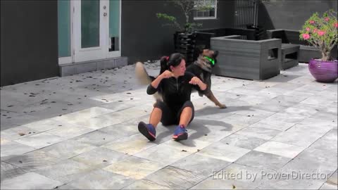 How to train your Dog funnyway- funny moment of dogs.