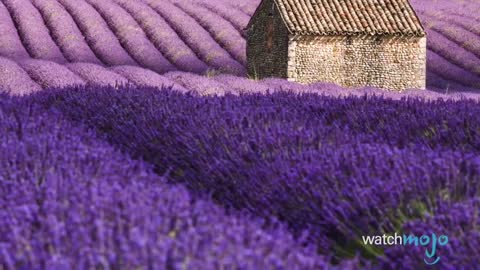 Another Top 10 Most Beautiful Places in The World
